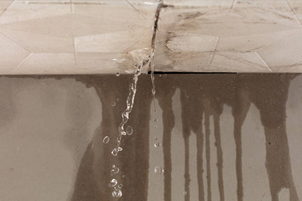 Professional Structural Drying technician working in Akron, MI